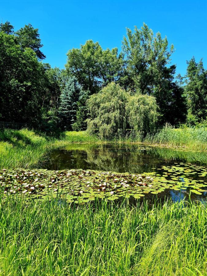 Wrzosowe Siedlisko Villa Czosnów Kültér fotó